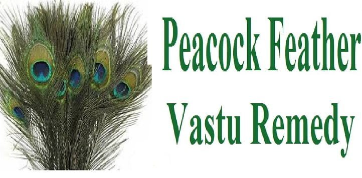 Peacock Feather Vastu Remedy