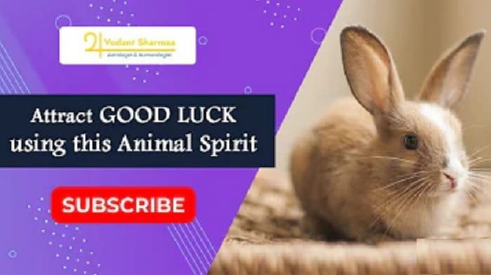 जानिए कैसे जानवर आपके जीवन में ला सकते हैं सौभाग्य (Good Luck) #shorts