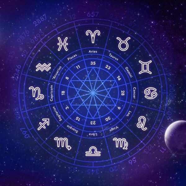 Bhrigu Nandi Nadi Astrology Services In India